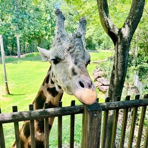 Meet your Posher, Garrett